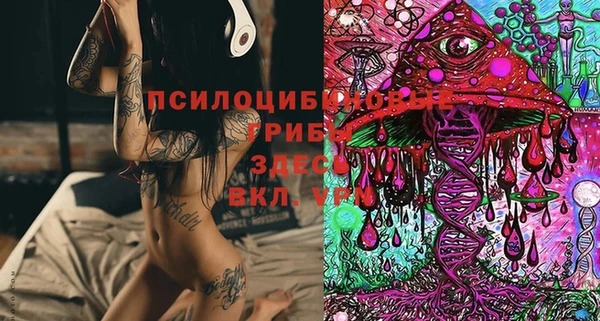 винт Кемь