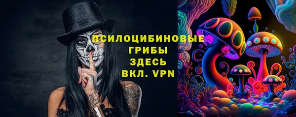 тгк Тобольск