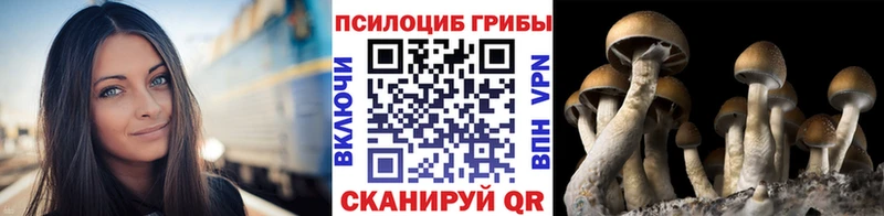 Псилоцибиновые грибы MAGIC MUSHROOMS  Ачхой-Мартан 