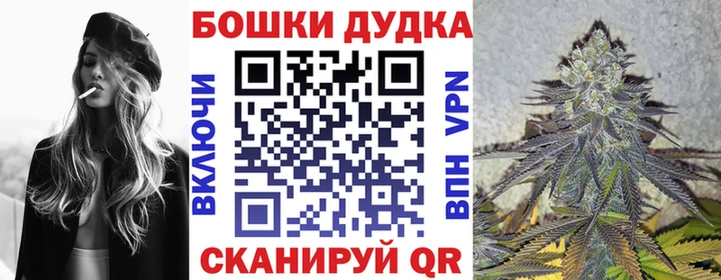 где купить наркоту Ачхой-Мартан Бошки марихуана сатива